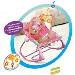 Infant To Toddler Rocker Rocking Chair And Bouncer