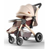 stroller baby Umbrella Cafe colour